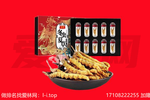 长春市双阳回收虫草.jpg